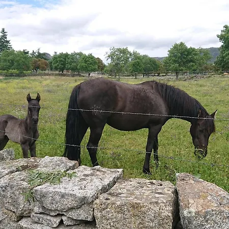 Lejlighed Duplex Premium Cies Vista Real *