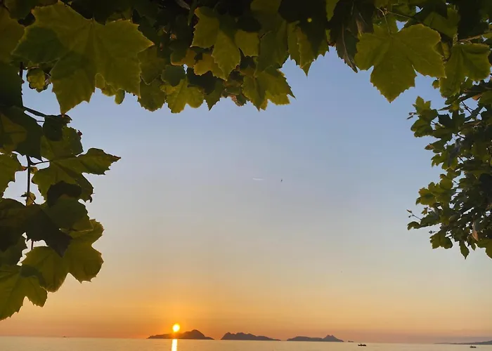 Duplex Premium Cies Vista Real *