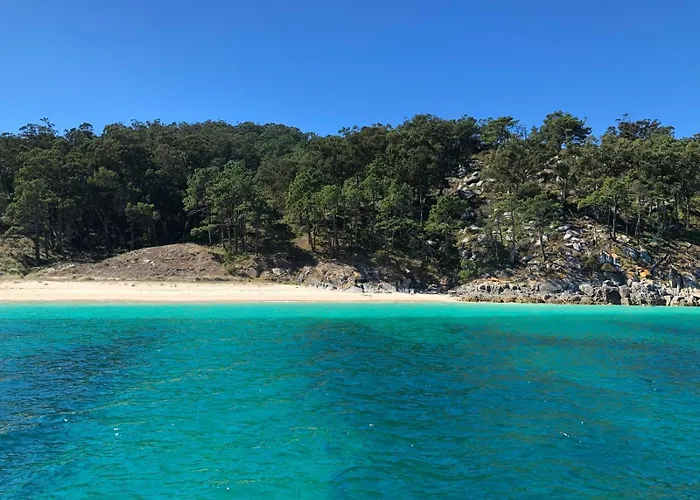 Duplex Premium Cies Vista Real Daire