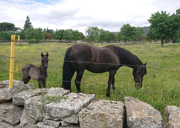 Daire Duplex Premium Cies Vista Real *